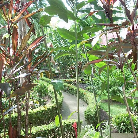La Palapa Ecolodge Portalón Екстериор снимка