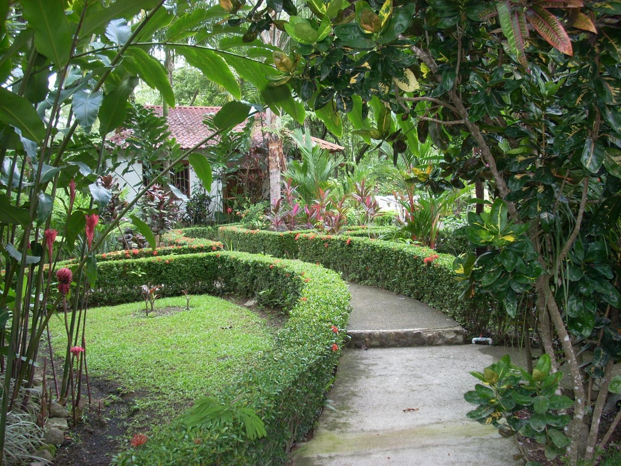 La Palapa Ecolodge Portalón Екстериор снимка