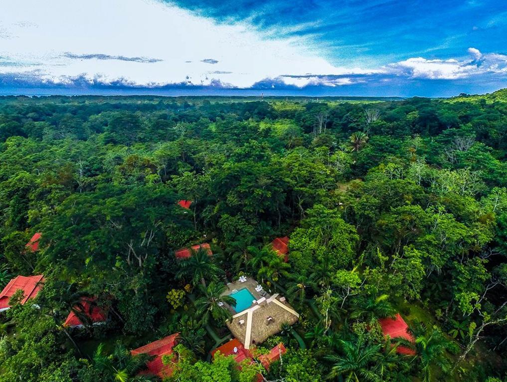 La Palapa Ecolodge Portalón Екстериор снимка