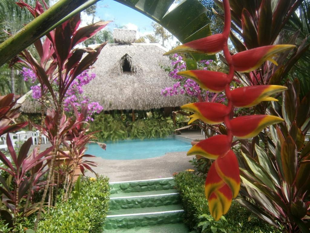 La Palapa Ecolodge Portalón Екстериор снимка