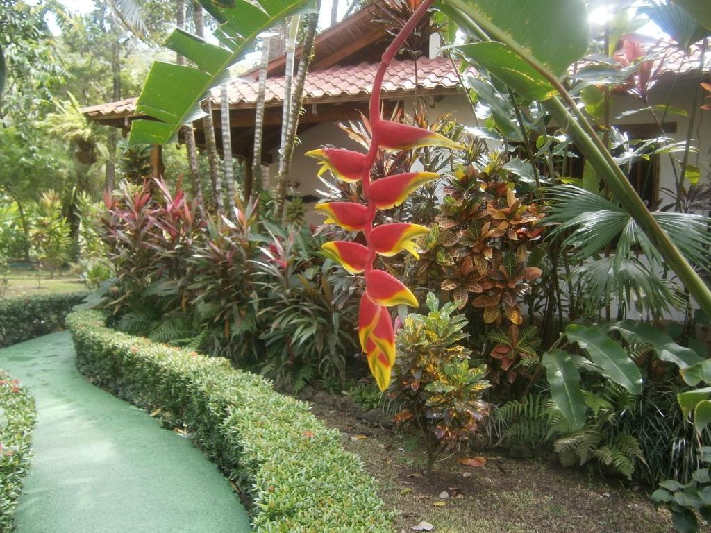 La Palapa Ecolodge Portalón Екстериор снимка