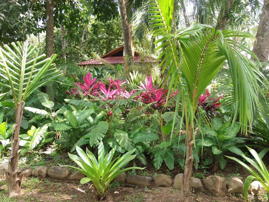 La Palapa Ecolodge Portalón Екстериор снимка