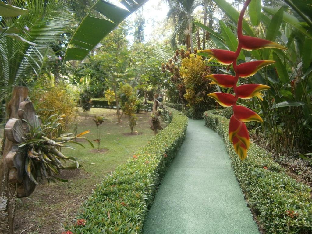 La Palapa Ecolodge Portalón Екстериор снимка
