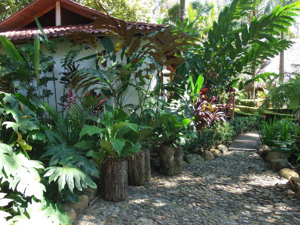 La Palapa Ecolodge Portalón Екстериор снимка