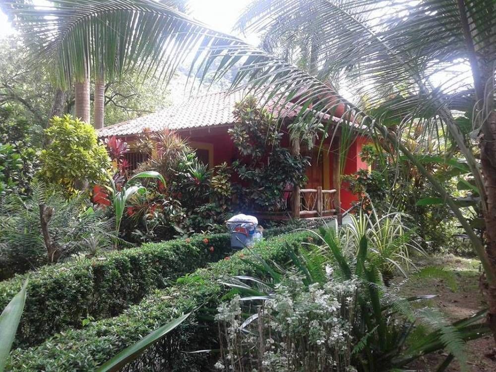La Palapa Ecolodge Portalón Екстериор снимка