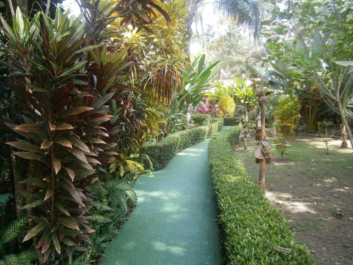 La Palapa Ecolodge Portalón Екстериор снимка
